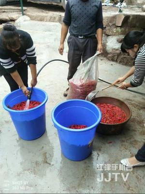 身手不凡的'四屏親戚' 科技助力初級農(nóng)產(chǎn)品收購，精準幫扶貧困戶增收