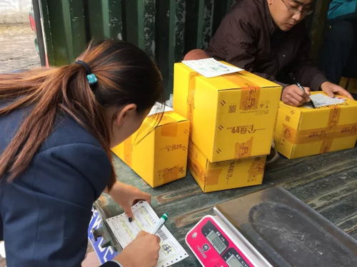 電商賦能太行百歲品牌，助力初級農(nóng)產(chǎn)品收購新篇章