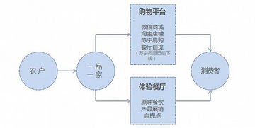 融資千萬的“一品一家” 小農經濟互聯網化的突圍與挑戰